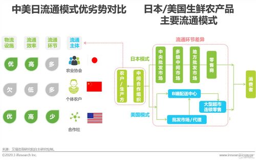 回顧與展望 2020年中國(guó)生鮮農(nóng)產(chǎn)品供應(yīng)鏈研究報(bào)告解析